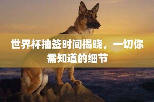 世界杯抽签时间揭晓，一切你需知道的细节