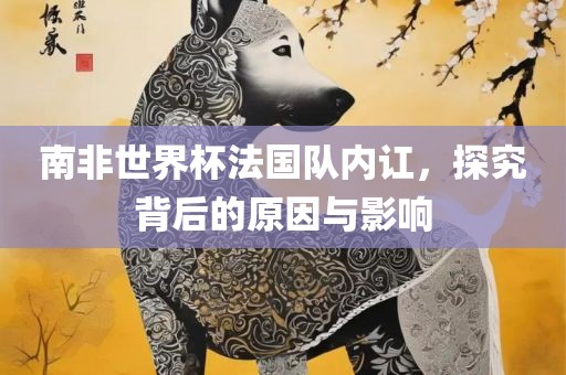 南非世界杯法国队内讧，探究背后的原因与影响