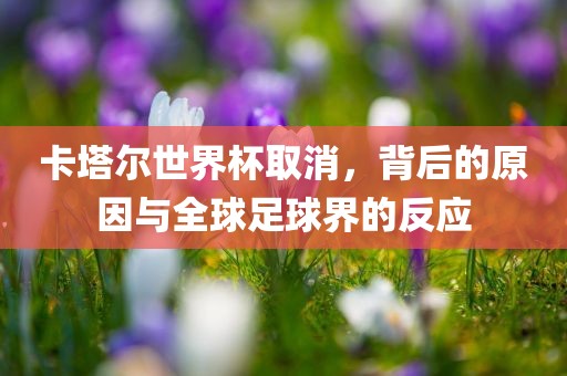 卡塔尔世界杯取消，背后的原因与全球足球界的反应