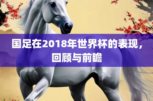 国足在2018年世界杯的表现，回顾与前瞻