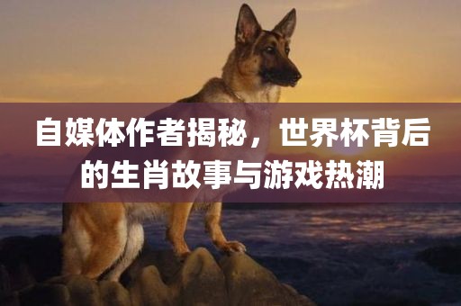 自媒体作者揭秘，世界杯背后的生肖故事与游戏热潮