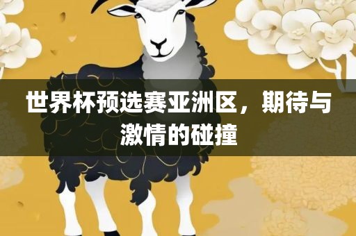 世界杯预选赛亚洲区，期待与激情的碰撞