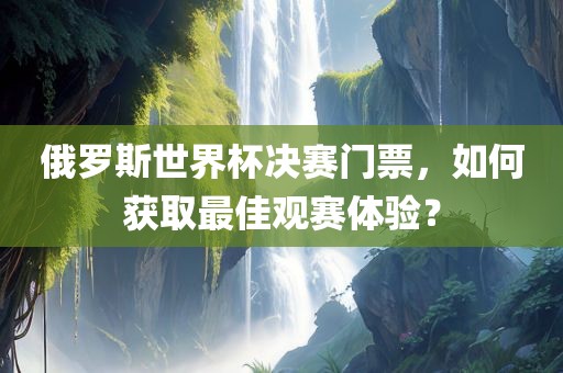 俄罗斯世界杯决赛门票，如何获取最佳观赛体验？
