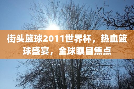 街头篮球2011世界杯，热血篮球盛宴，全球瞩目焦点