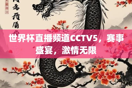 世界杯直播频道CCTV5，赛事盛宴，激情无限