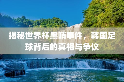 揭秘世界杯黑哨事件，韩国足球背后的真相与争议