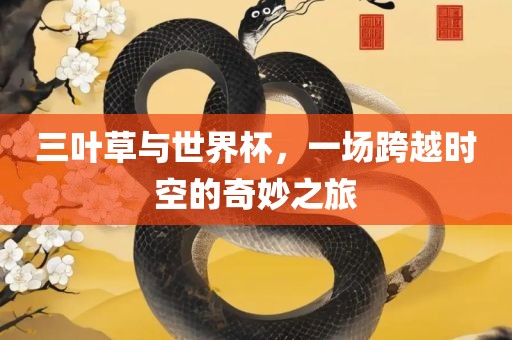 三叶草与世界杯，一场跨越时空的奇妙之旅