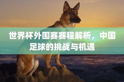 世界杯外围赛赛程解析，中国足球的挑战与机遇