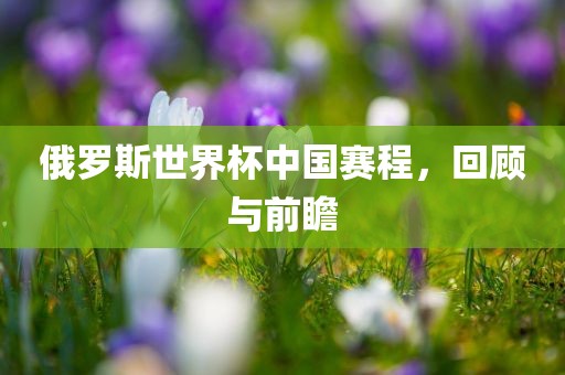 俄罗斯世界杯中国赛程，回顾与前瞻