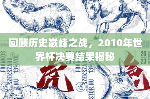 回顾历史巅峰之战，2010年世界杯决赛结果揭秘
