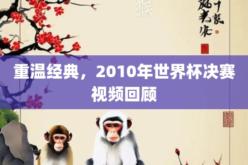 重温经典，2010年世界杯决赛视频回顾