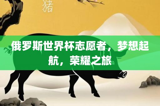 俄罗斯世界杯志愿者，梦想起航，荣耀之旅