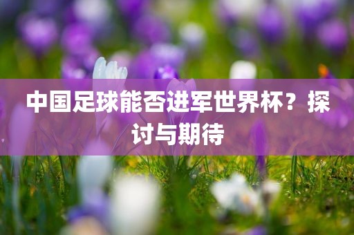 中国足球能否进军世界杯？探讨与期待