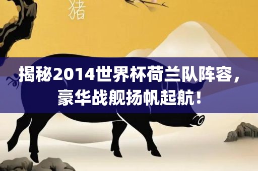 揭秘2014世界杯荷兰队阵容，豪华战舰扬帆起航！