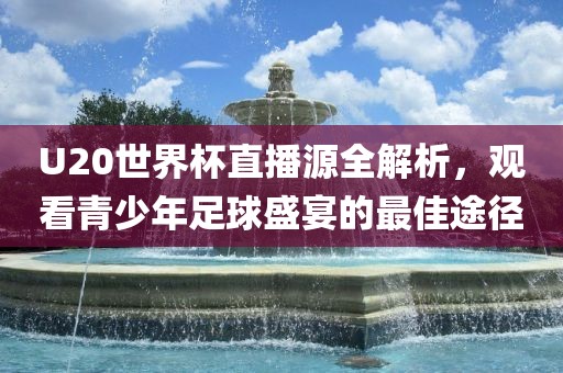 U20世界杯直播源全解析，观看青少年足球盛宴的最佳途径