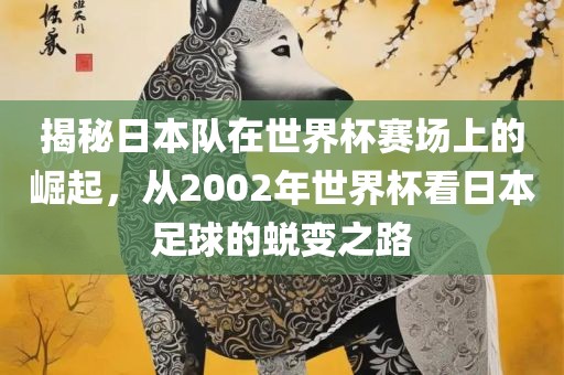 揭秘日本队在世界杯赛场上的崛起，从2002年世界杯看日本足球的蜕变之路