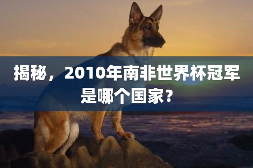 揭秘，2010年南非世界杯冠军是哪个国家？