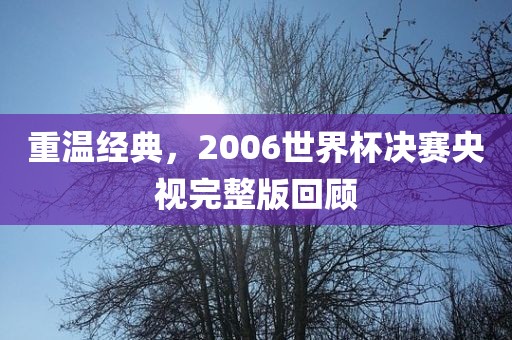 重温经典，2006世界杯决赛央视完整版回顾