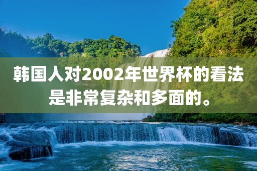 韩国人对2002年世界杯的看法是非常复杂和多面的。