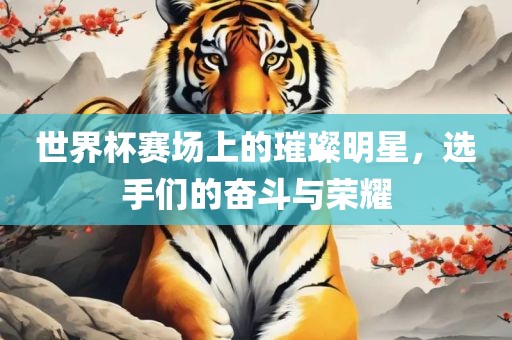 世界杯赛场上的璀璨明星，选手们的奋斗与荣耀