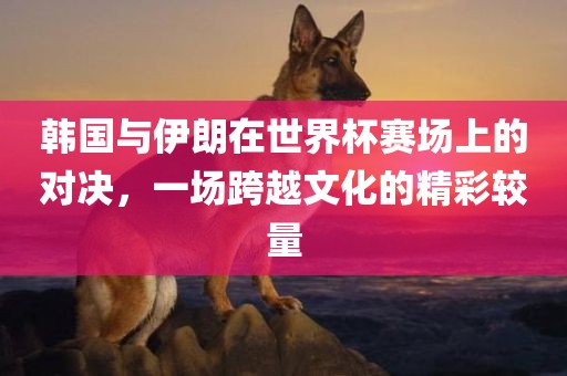 韩国与伊朗在世界杯赛场上的对决，一场跨越文化的精彩较量