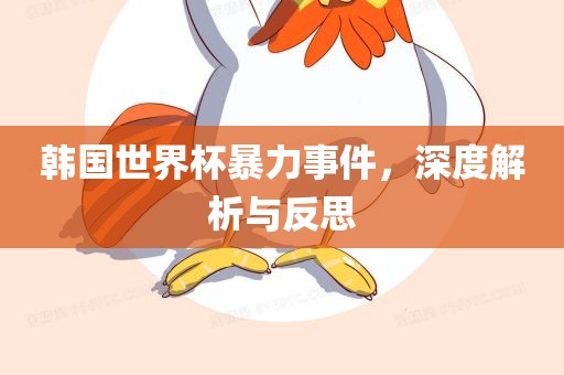 韩国世界杯暴力事件，深度解析与反思