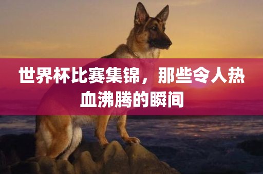 世界杯比赛集锦，那些令人热血沸腾的瞬间