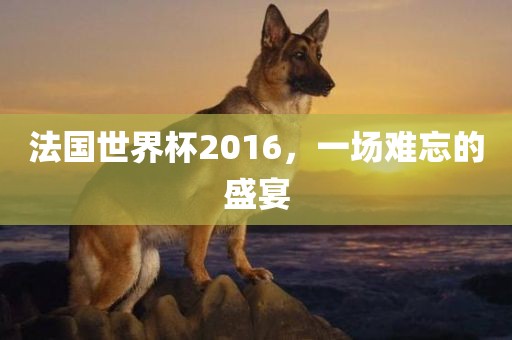 法国世界杯2016，一场难忘的盛宴