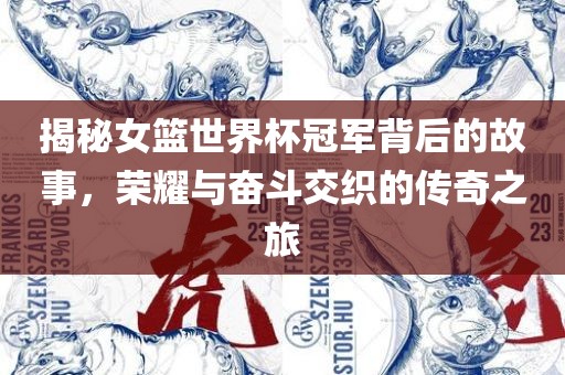 揭秘女篮世界杯冠军背后的故事，荣耀与奋斗交织的传奇之旅