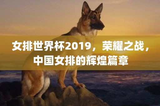 女排世界杯2019，荣耀之战，中国女排的辉煌篇章