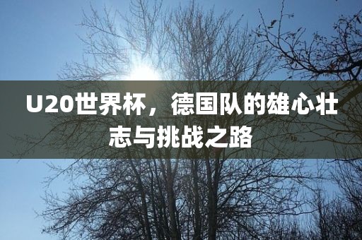U20世界杯，德国队的雄心壮志与挑战之路