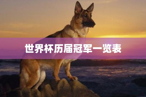 世界杯历届冠军一览表