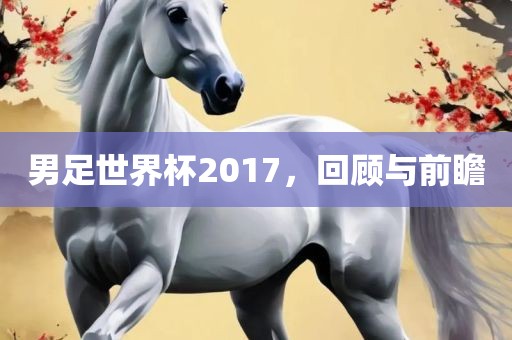 男足世界杯2017，回顾与前瞻