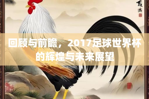 回顾与前瞻，2017足球世界杯的辉煌与未来展望