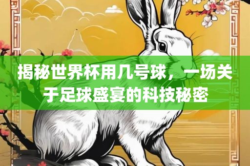 揭秘世界杯用几号球，一场关于足球盛宴的科技秘密