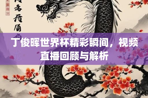 丁俊晖世界杯精彩瞬间，视频直播回顾与解析