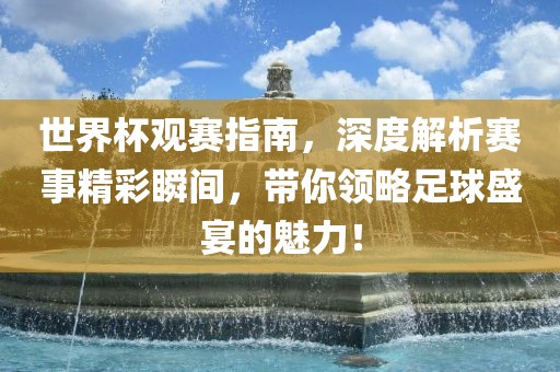 世界杯观赛指南，深度解析赛事精彩瞬间，带你领略足球盛宴的魅力！