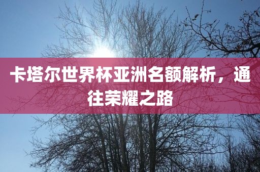 卡塔尔世界杯亚洲名额解析，通往荣耀之路