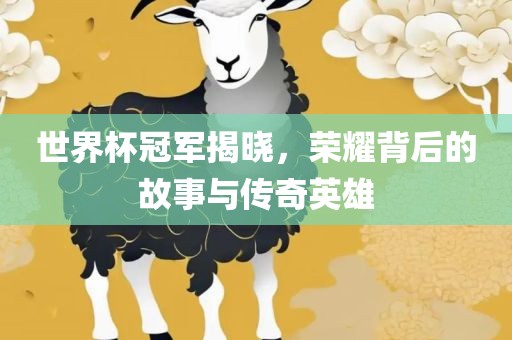 世界杯冠军揭晓，荣耀背后的故事与传奇英雄
