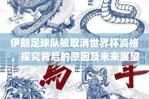 伊朗足球队被取消世界杯资格，探究背后的原因及未来展望