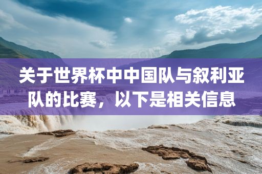 关于世界杯中中国队与叙利亚队的比赛，以下是相关信息