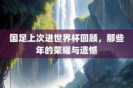 国足上次进世界杯回顾，那些年的荣耀与遗憾