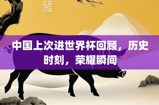 中国上次进世界杯回顾，历史时刻，荣耀瞬间