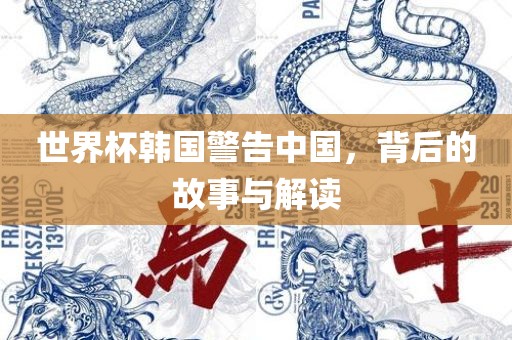 世界杯韩国警告中国，背后的故事与解读