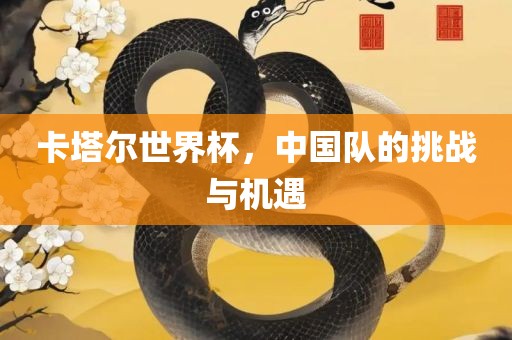 卡塔尔世界杯，中国队的挑战与机遇