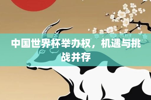 中国世界杯举办权，机遇与挑战并存