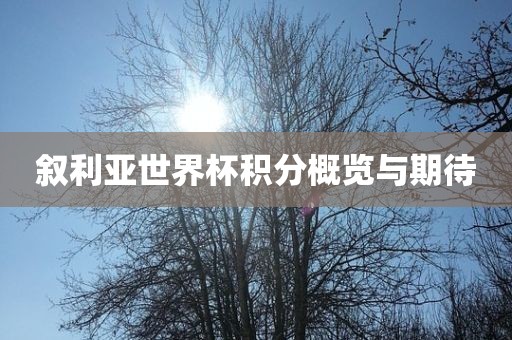 叙利亚世界杯积分概览与期待