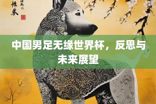 中国男足无缘世界杯，反思与未来展望