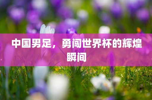 中国男足，勇闯世界杯的辉煌瞬间