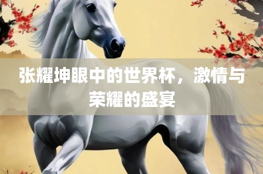 张耀坤眼中的世界杯，激情与荣耀的盛宴